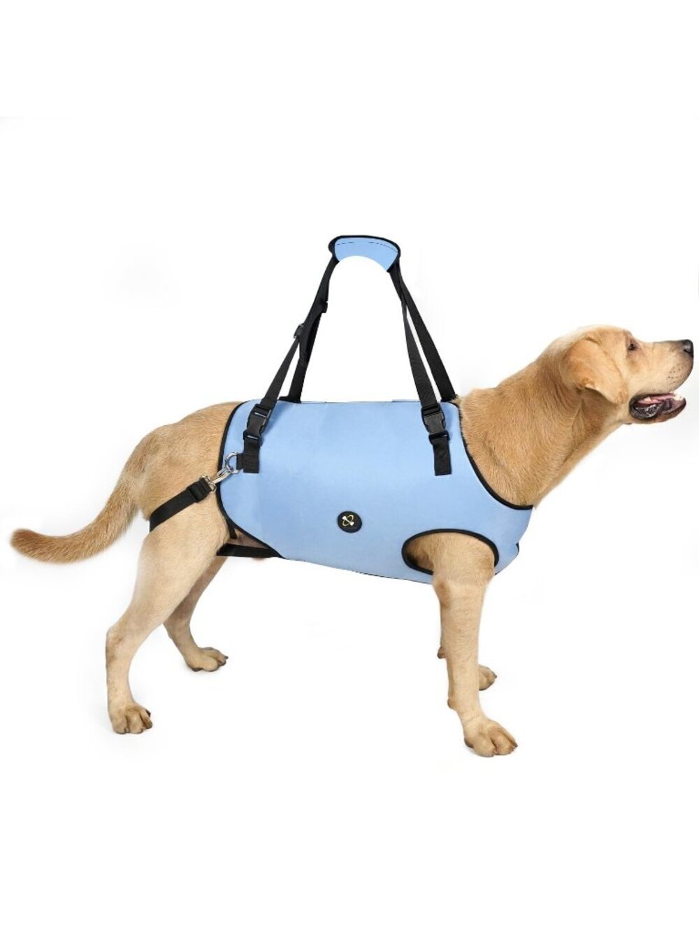 Coodeo "L" Dog Lift Harness, Pet Support Rehabilitation Sling Lift Adj. Padded
